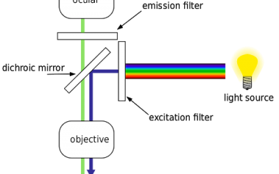 Confocal Microscope Design: Explained